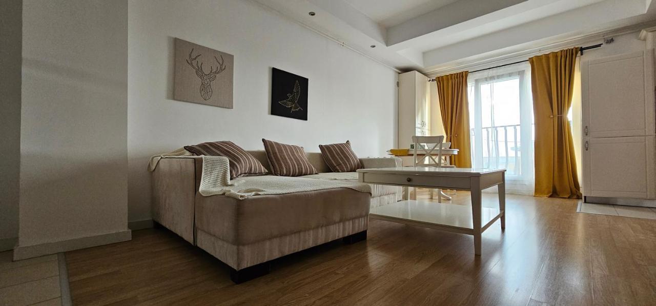 Homey 2 Cosmopolis Stefanestii de Jos Luaran gambar